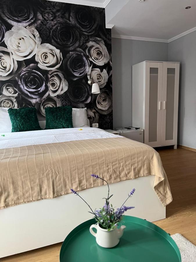 Artmotel & Bistro Хацег Экстерьер фото